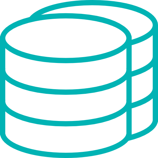 Data Warehouse Manager